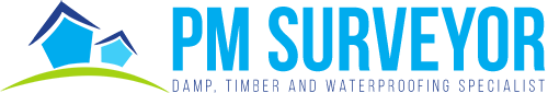 PM Surveyor Logo